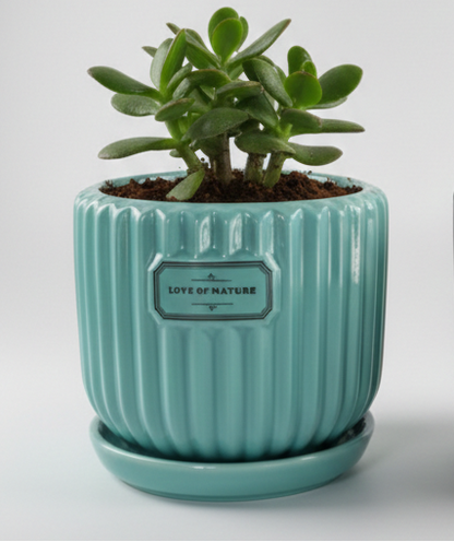 Nature Gift to loved one